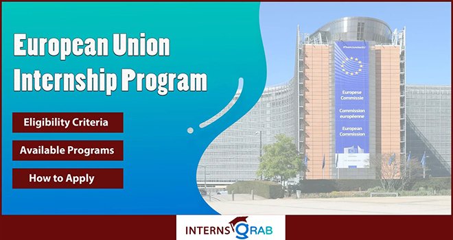 European Union Internship