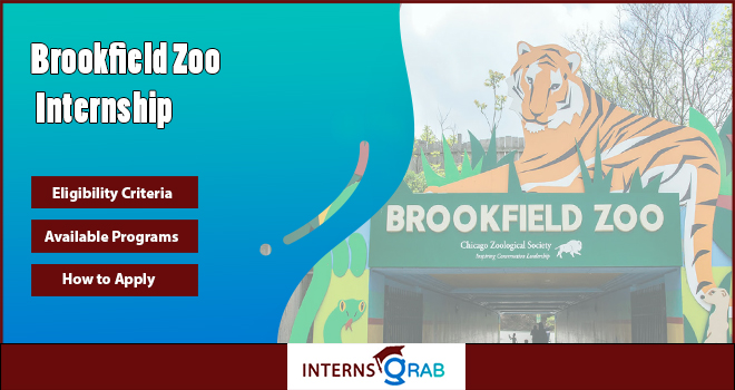 Brookfield Zoo Internship