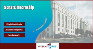 Senate Internship